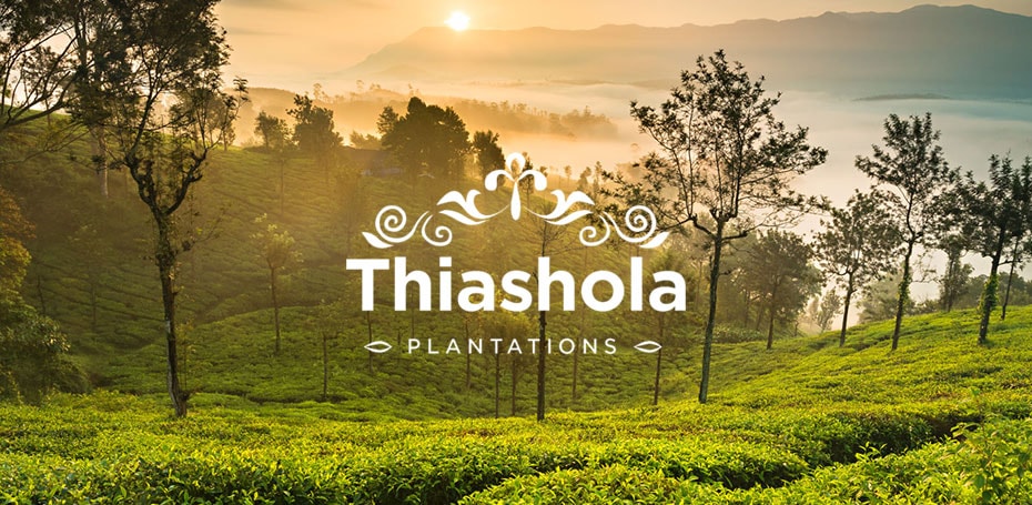 thiashola homepage