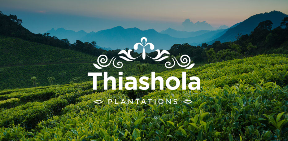 new thiashola home